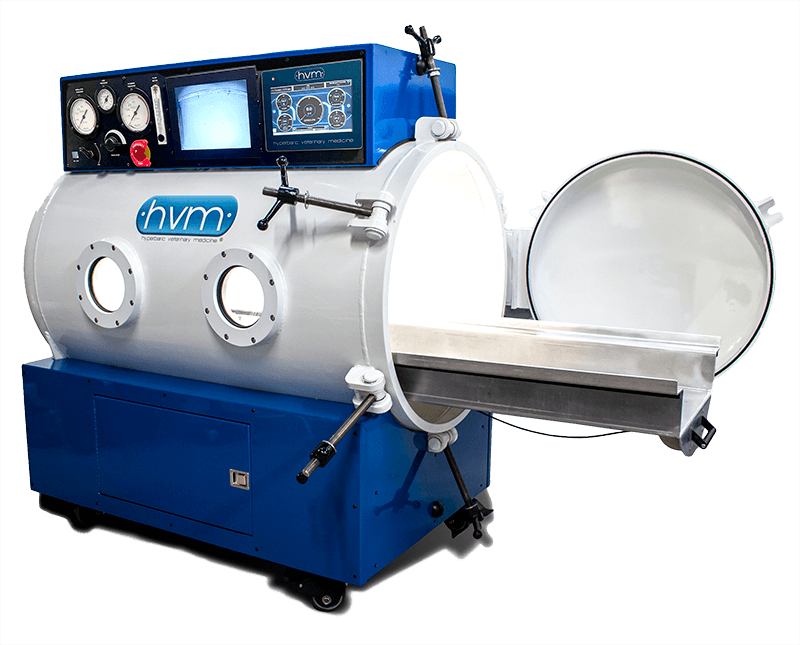Comprehensive veterinary services for cats and dogs in Delray Beach, FL A hyperbaric chamber